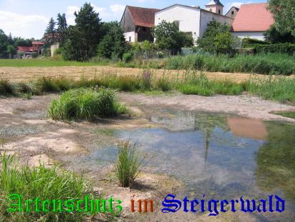 Copyright AiS / Köhler Bild zum Eintrag (24958-160)