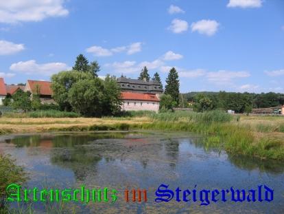 Copyright AiS / Köhler Bild zum Eintrag (24959-160)
