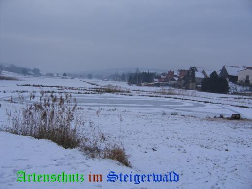 Copyright AiS / 2009 W.H Bild zum Eintrag (24971-160)