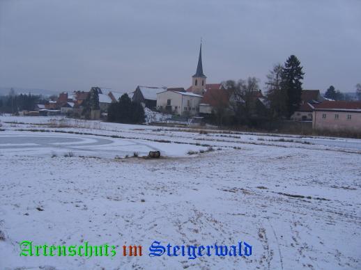 Copyright AiS / 2009 W.H Bild zum Eintrag (24972-160)