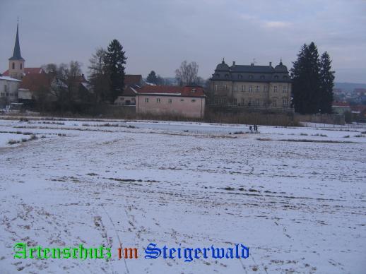 Copyright AiS / 2009 W.H Bild zum Eintrag (24973-160)