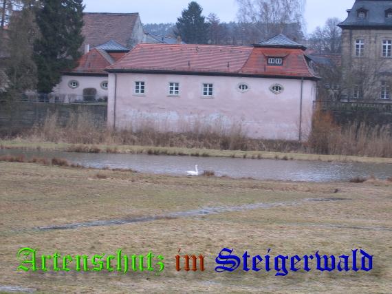 Copyright AiS / 2009 - Köhler Bild zum Eintrag (24975-160)