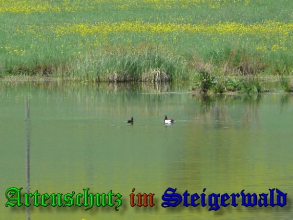 Copyright AiS / 2009 - Schmitt Bild zum Eintrag (24979-160)