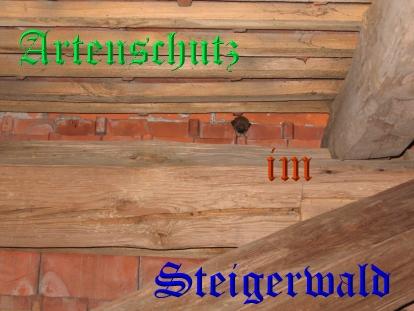 Copyright AiS / Köhler Bild zum Eintrag (25016-160)