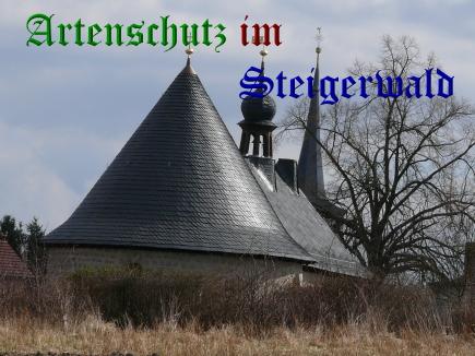 Copyright AiS / Weidner Bild zum Eintrag (25021-160)