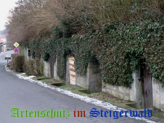 Copyright AiS / 2009 Albert Meier Bild zum Eintrag (25049-160)