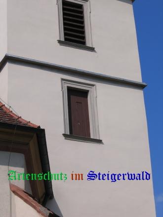 Bild zum Eintrag (25063-160)