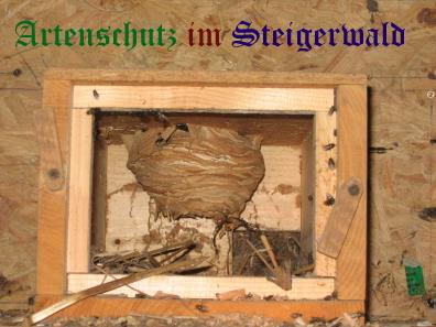 Copyright AiS / Lehnert Bild zum Eintrag (25076-160)