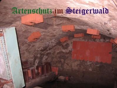 Copyright AiS / Köhler Bild zum Eintrag (25077-160)