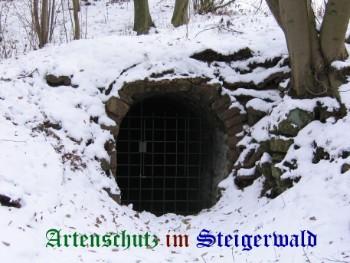 Copyright AiS / Bernhard Weidner Bild zum Eintrag (25098-160)