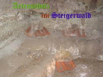 Copyright AiS / 2008 Kunze Bild zum Eintrag (25128-160)