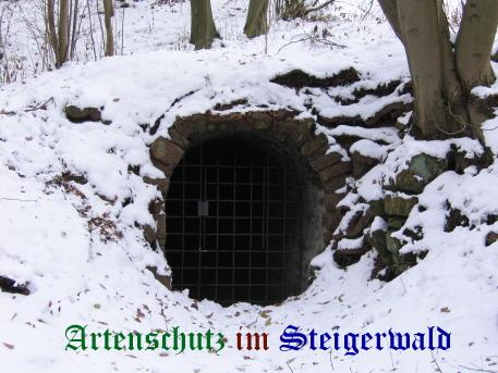 Copyright AiS / Weidner Bild zum Eintrag (25131-160)
