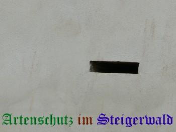 Copyright AiS / Bauer Bild zum Eintrag (25146-160)