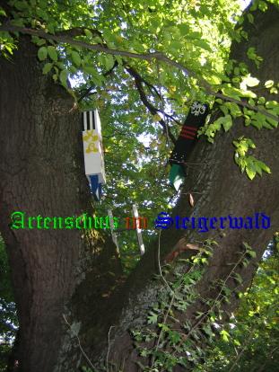 Copyright AiS / 2008 / TK Bild zum Eintrag (25182-160)