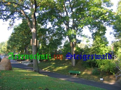 Copyright AiS / 2008 / TK Bild zum Eintrag (25183-160)