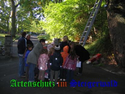 Copyright AiS / 2008 /TK Bild zum Eintrag (25184-160)