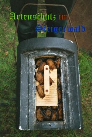Copyright AiS / Helma Krumlinde Bild zum Eintrag (25201-160)