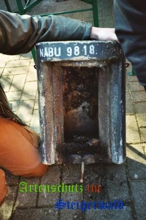 Copyright AiS / Helma Krumlinde Bild zum Eintrag (25204-160)