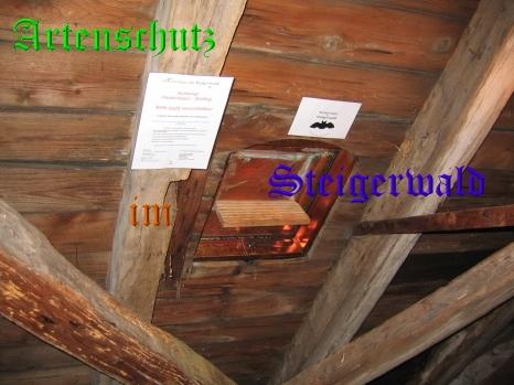 Copyright AiS / Köhler Bild zum Eintrag (25224-160)