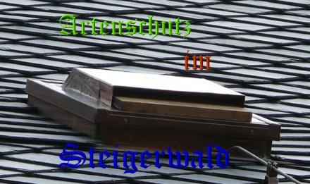 Copyright AiS / Schrei Bild zum Eintrag (25225-160)