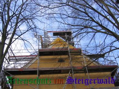 Copyright AiS / Weidner Bild zum Eintrag (25233-160)