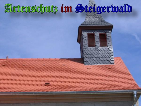Copyright AiS / 2009 Weidner Bild zum Eintrag (25243-160)