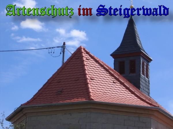 Copyright AiS / 2009 Weidner Bild zum Eintrag (25244-160)