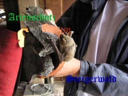 Copyright AiS / Beleg / Köhler Bild zum Eintrag (25249-160)
