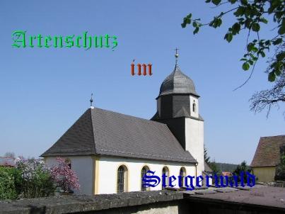 Copyright AiS / 2008 / KAG Bild zum Eintrag (25252-160)