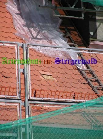 Copyright AiS / 2008 KAG Bild zum Eintrag (25257-160)