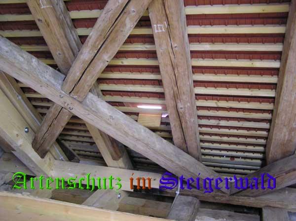 Copyright AiS / 2008 KAG Bild zum Eintrag (25258-160)
