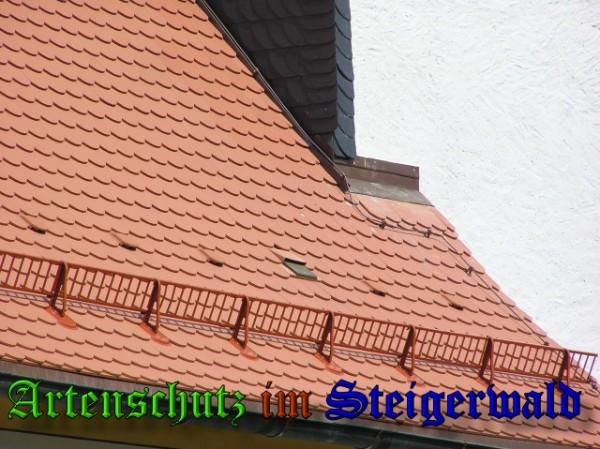 Copyright AiS / 2009 Kunze Bild zum Eintrag (25262-160)