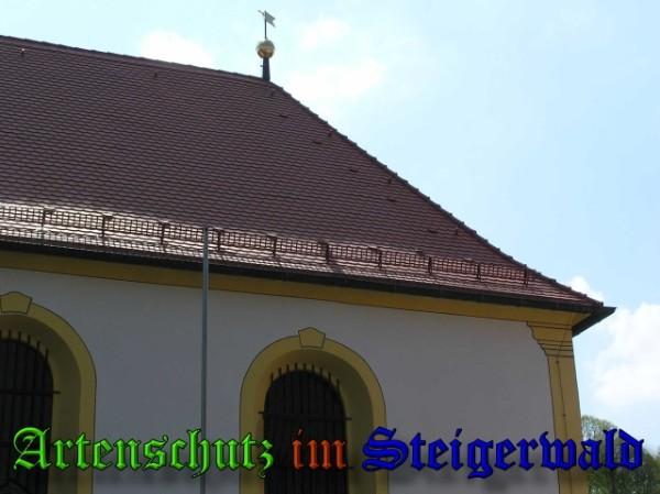 Copyright AiS / 2009 Kunze Bild zum Eintrag (25264-160)