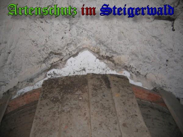 Copyright AiS / 2009 Köhler Bild zum Eintrag (25274-160)