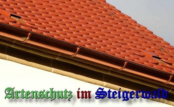 Copyright AiS / 2009 Albert Meier Bild zum Eintrag (25280-160)