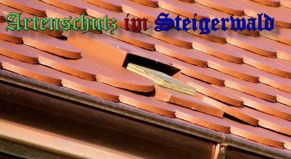 Copyright AiS / 2009 Albert Meier Bild zum Eintrag (25281-160)