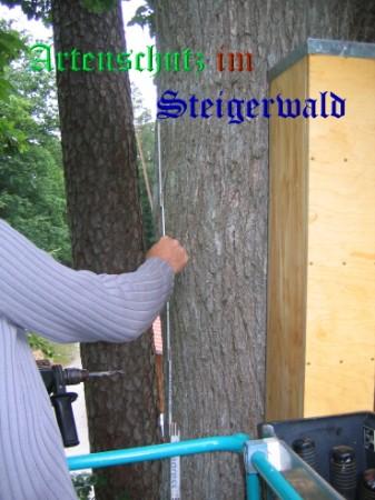 Copyright AiS / Köhler Bild zum Eintrag (25317-160)