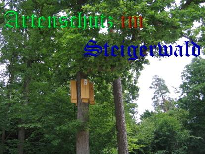 Copyright AiS / Köhler Bild zum Eintrag (25320-160)