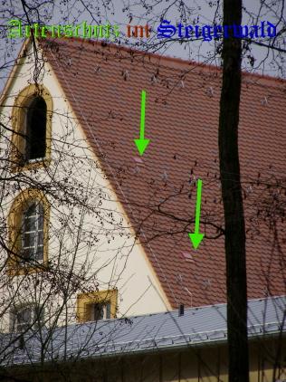 Copyright AiS / 2008 Albert Meier Bild zum Eintrag (25406-160)