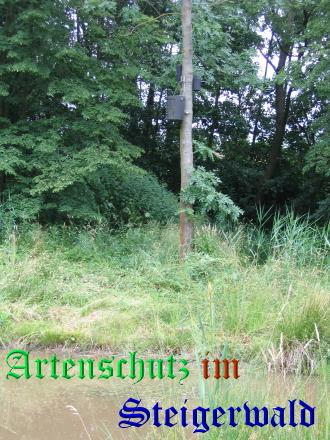 Copyright AiS / Köhler Bild zum Eintrag (25413-160)
