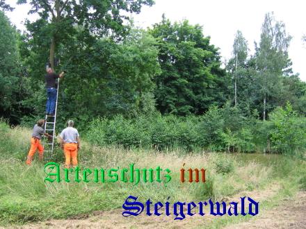 Copyright AiS / Köhler Bild zum Eintrag (25414-160)