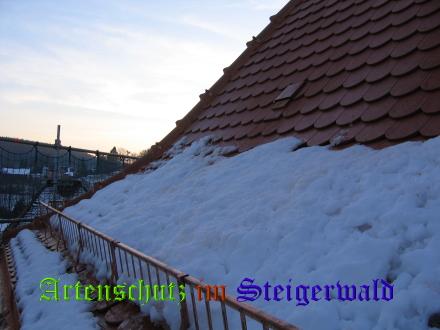 Copyright AiS / 2008 Bild zum Eintrag (25427-160)