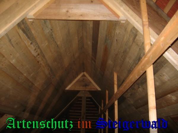 Copyright AiS / 2009 Köhler Bild zum Eintrag (25431-160)