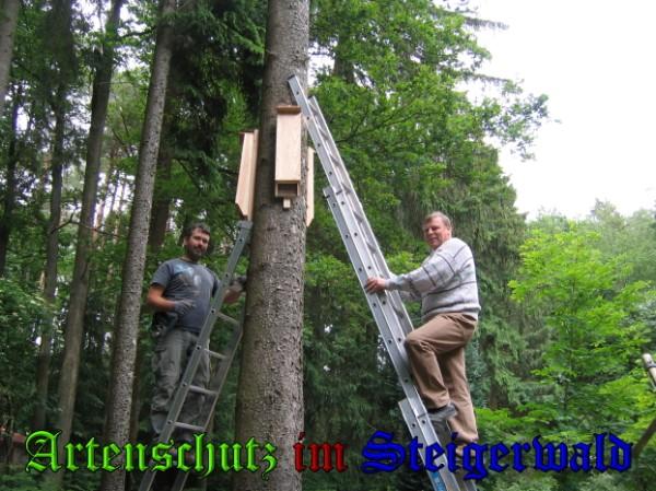 Copyright AiS / 2009 Köhler Bild zum Eintrag (25478-160)