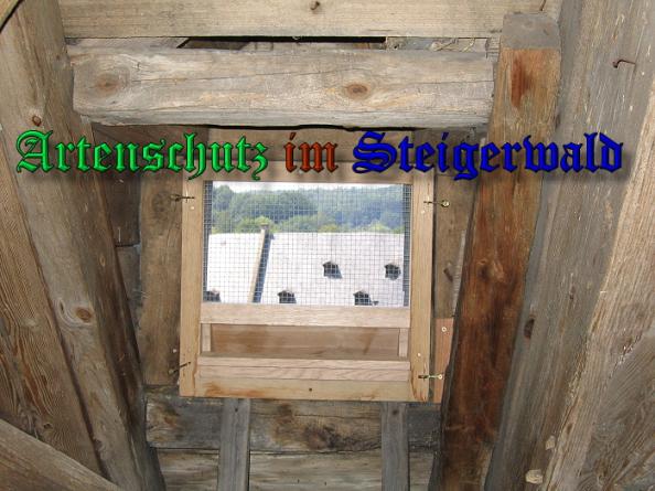 Bild zum Eintrag (25497-160)