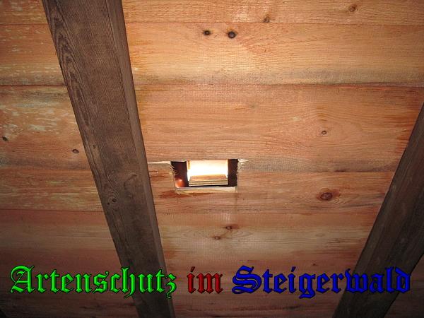 Copyright AiS / 2009 Köhler Bild zum Eintrag (25591-160)