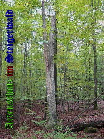 Bild zum Eintrag (25621-160)