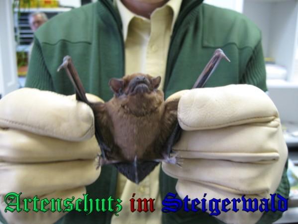 Copyright AiS / 2009 Schelhorn Bild zum Eintrag (25630-160)