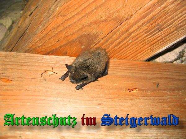 Bild zum Eintrag (25653-160)