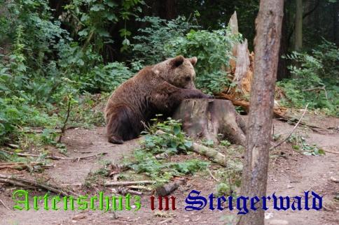 Bild zum Eintrag (25700-160)